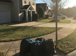 Leaf Removal by Derrick Cherry for Jacqueline C. in Charlotte, NC
