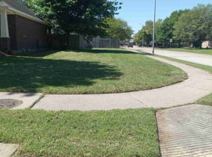 Suzanne C.'s Lawn Mowing service result