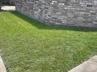 Trey C.'s Lawn Mowing service result