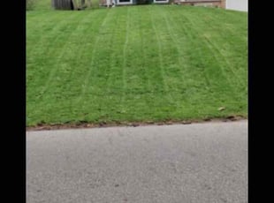 Ronald G.'s Lawn Care service result