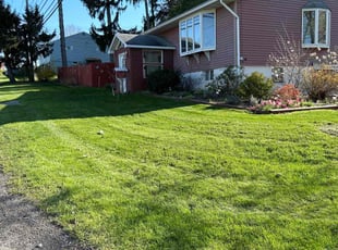 Andrea S.'s Lawn Mowing service result