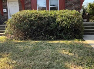 Bush Trimming by Manuel Silveira for Deborah R. in Oklahoma City, OK