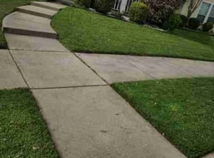 George M.'s Lawn Service service result