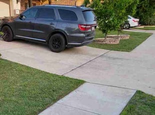 Steven G.'s Yard Cutting service result