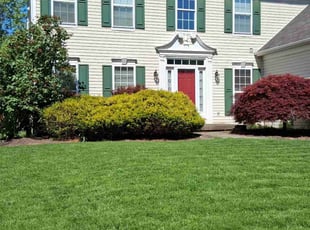 Weeding by Peter Conley for Frank B. in Streetsboro, OH
