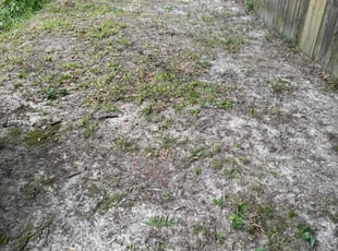 Leaf Removal by Shedrick Price for Caleb R. in Covington, LA