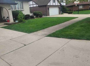 Jerry P.'s Grass Cutting service result