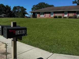 Pierrie S.'s Lawn Care service result
