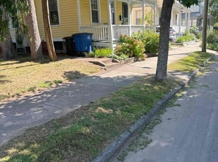 John B.'s Lawn Service service result