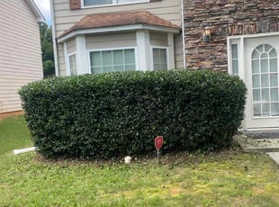 Bush Trimming by Jeffrey Curtis for Brittany H. in Atlanta, GA