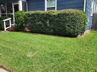 Thi N.'s Lawn Care service result