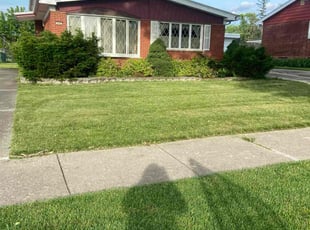 Dominique S.'s Lawn Mowing Service service result