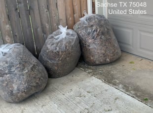 Leaf Removal by Ricardo Rosser for Kristy H. in Sachse, TX