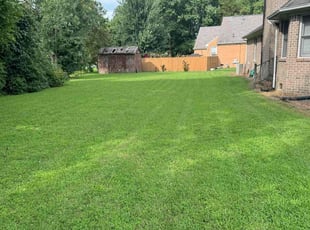 Earle T.'s Lawn Mowing Service service result