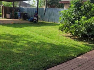 Anthony C.'s Lawn Care service result