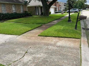 Corey S.'s Lawn Care service result
