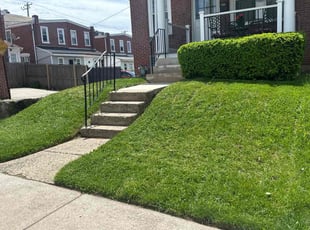 Tyrell M.'s Lawn Mowing Service service result