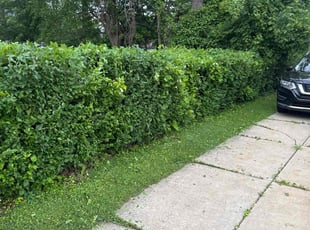 Bush Trimming by Harrison Thomas for Eric R. in Euclid, OH