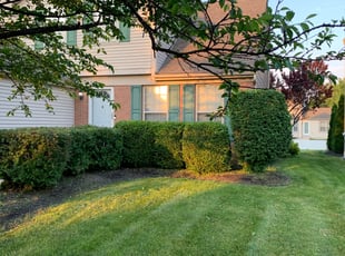 Bush Trimming by B.J. Schuetz for Deanna P. in Westerville, OH