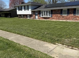 Latanya B.'s Lawn Mowing service result