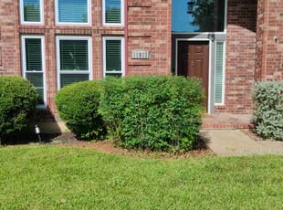 Bush Trimming by Annette Amador for Djara I. in Leander, TX