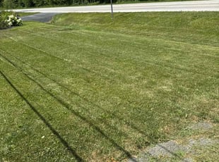 Joe N.'s Lawn Care service result