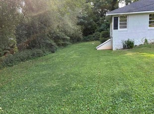 Amber C.'s Lawn Maintenance service result