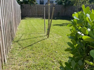 Syedzainul H.'s Lawn Mowing Service service result