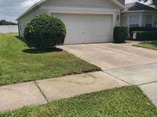 Patrick R.'s Lawn Service service result