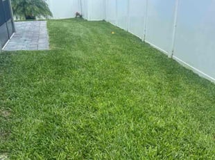 Tatyana F.'s Grass Cutting service result