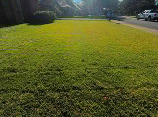 Hannah H.'s Yard Cutting service result