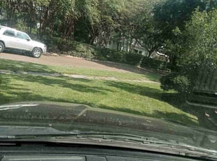 Stacey M.'s Lawn Service service result