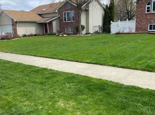 Lee B.'s Lawn Mowing service result