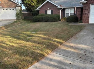 Elliot M.'s Lawn Mowing service result