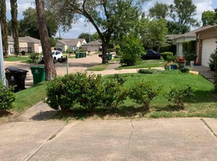 Bush Trimming by Ethan Mullani for Aaron S. in Houston, TX