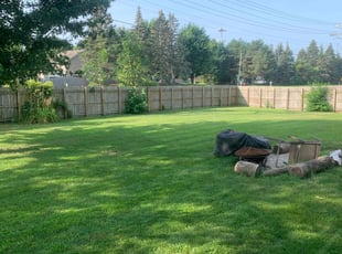 Ginnie D.'s Lawn Care service result