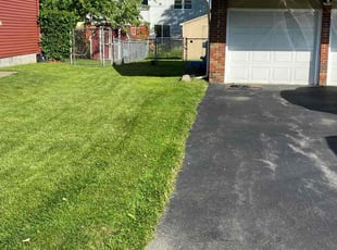 Ileana V.'s Lawn Care service result