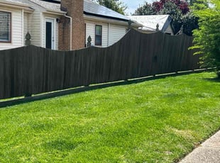 Savina P.'s Lawn Maintenance service result
