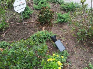 Weeding by Isabel Charrez for Carlos R. in Land O' Lakes, FL