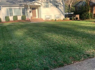 Leaf Removal by Chance Rosenberger for Michael W. in Charlotte, NC