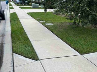 Leila H.'s Lawn Mowing Service service result