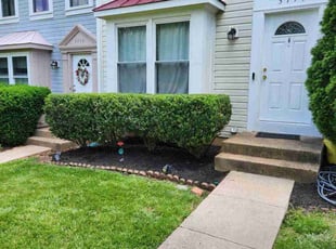 Bush Trimming by Mark Burke for Emily R. in Fairfax, VA