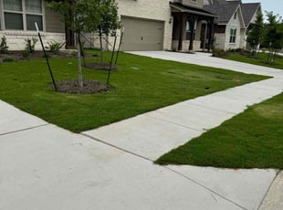 Adriana O.'s Lawn Mowing Service service result