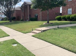 Carlyn H.'s Lawn Service service result