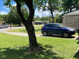 Jamie D.'s Yard Cutting service result