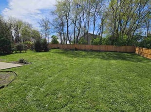 Natacia M.'s Lawn Care service result