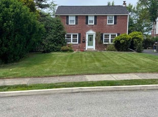 Lewis R.'s Lawn Care service result