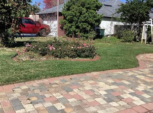 Patrick M.'s Lawn Maintenance service result