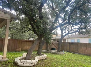 Weeding by Marwan Qashou for Cynthia K. in San Antonio, TX