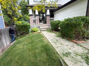 Bush Trimming by Jesse Nunez for justin c. in Parker, CO